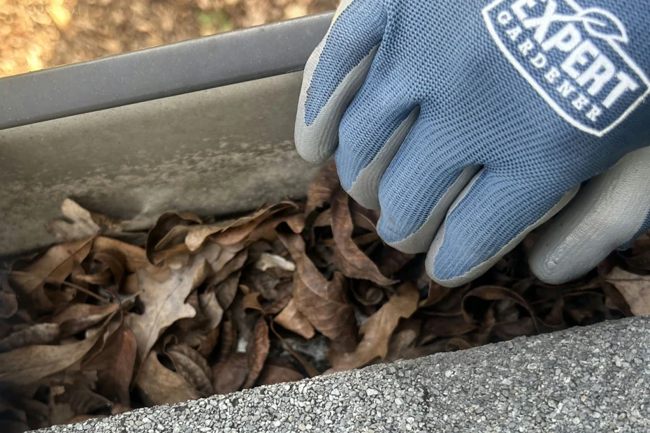 Gutter Cleaning Gahanna